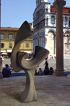 II grand'albero che cerca il cielo